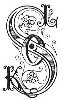 Sokol_Symbol