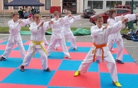 20160603-sportovni-den-vmy_karate_3865
